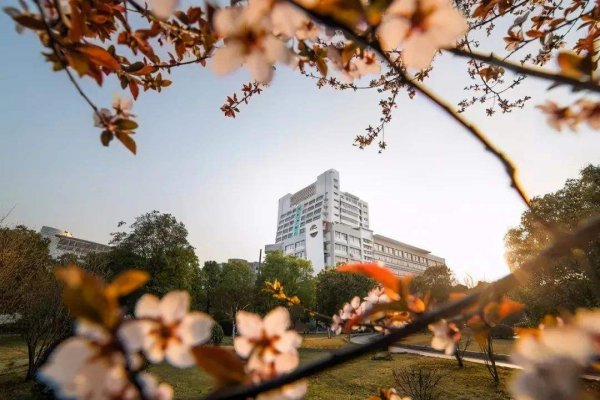 安徽农业大学是几本学校