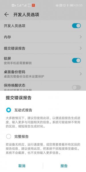 手机开发者模式是什么意思
