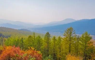 重阳节什么时候