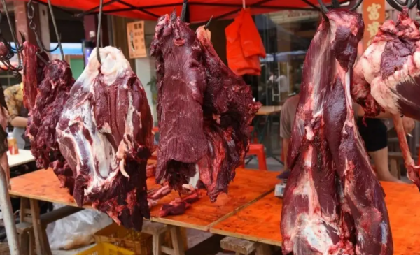 牛上脑肉指的是哪个部位