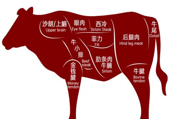 牛上脑肉指的是哪个部位