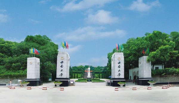 重庆前十名重点大学