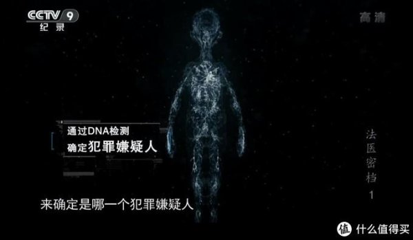 好看的纪录片排行榜前十名