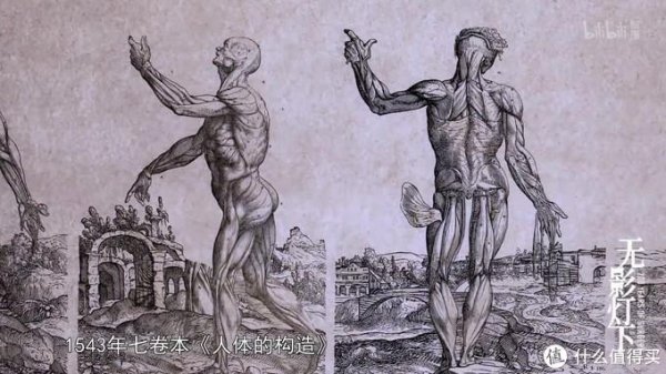 好看的纪录片排行榜前十名