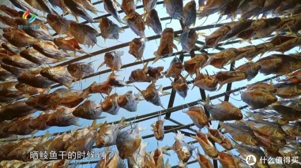 好看的纪录片排行榜前十名