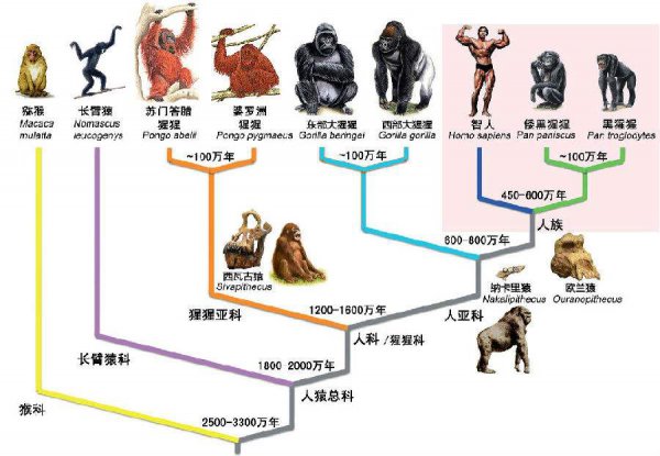 6500万年前恐龙灭绝了吗
