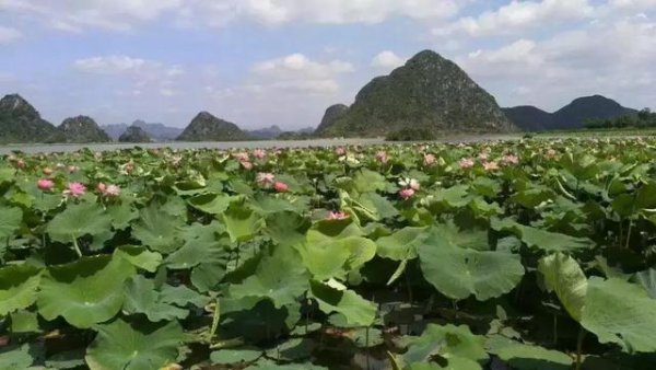 云南普者黑最佳旅游季节