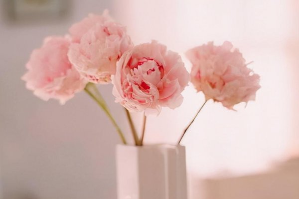 桃李之年是指多少岁的人