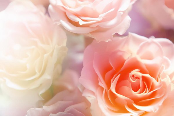 桃李之年是指多少岁的人