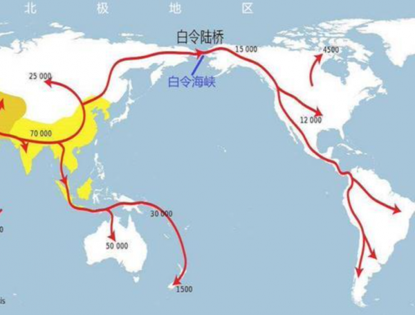 谁发现的新大陆
