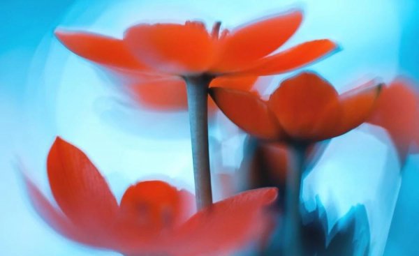 古诗登鹳雀楼全文解释