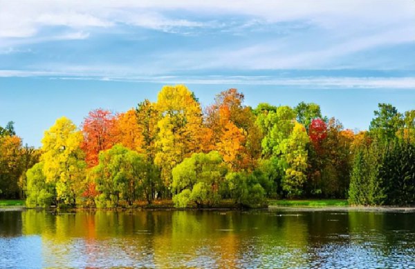 新凉古诗意思翻译