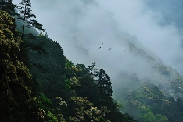 新凉古诗意思翻译