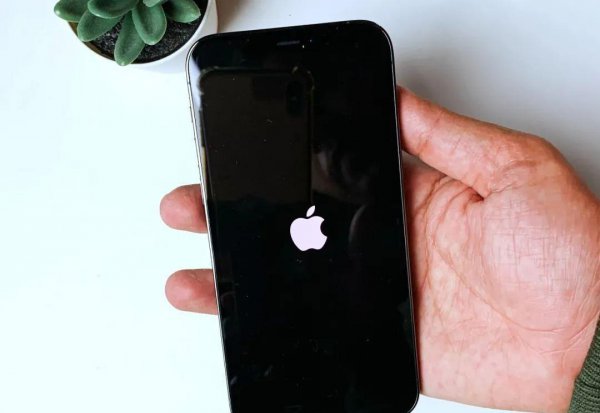 是什么原因?有哪些解决方法?怎么办?iphonex开机卡在白苹果?