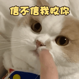 猫尾巴竖起来什么意思