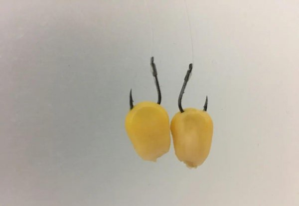 钓草鱼用什么饵料最好