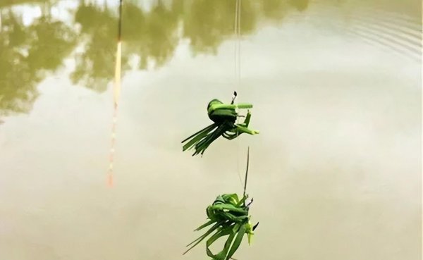 钓草鱼用什么饵料最好