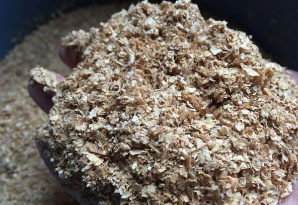 钓草鱼用什么饵料最好