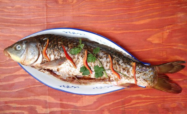 淡水鱼品种大全及图片