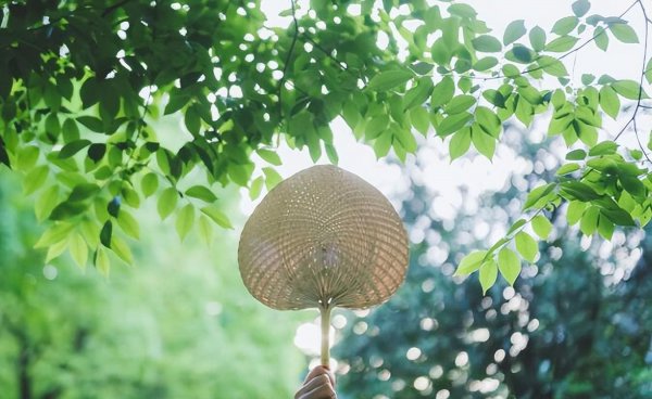 立夏称体重是什么意思