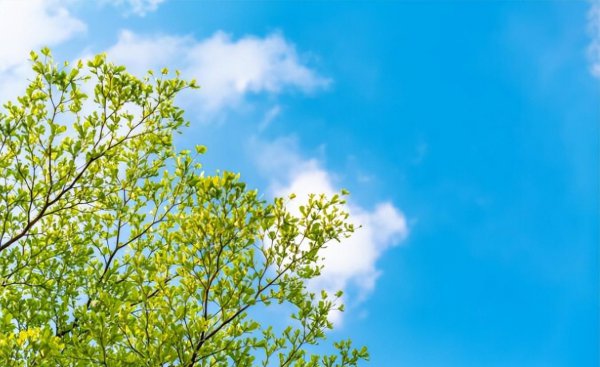 立夏称体重是什么意思