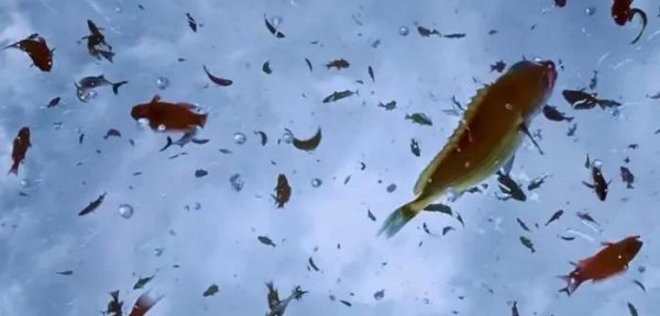 世界上最诡异的雨是什么雨