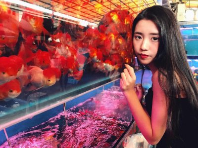 新买的鱼入缸前做什么准备 入缸之前做好这几步发病率低