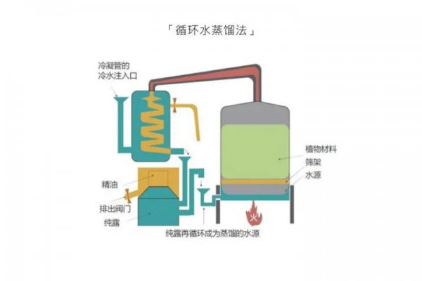 自己在家怎么提炼玫瑰精油