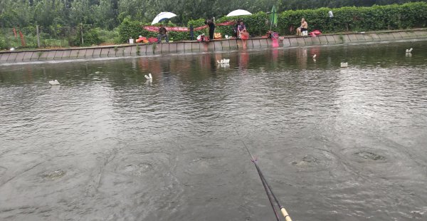 钓鱼的偷驴什么意思