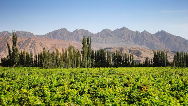 西游记中的火焰山是今天的什么盆地
