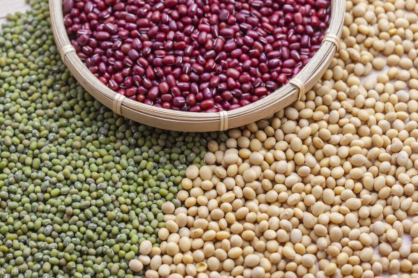 五谷中的菽指的是什么