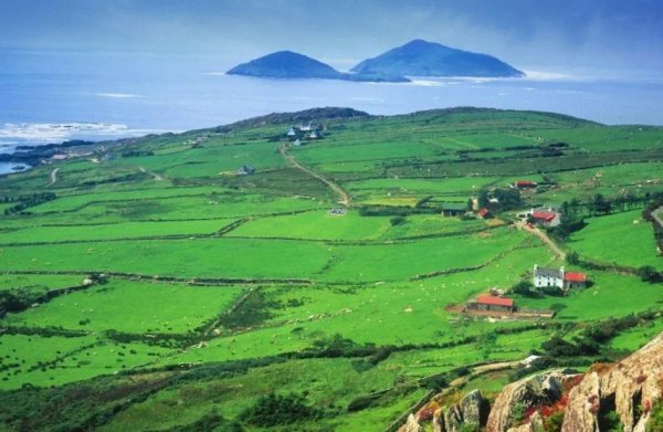 泊船瓜洲表达了作者怎样的思想感情