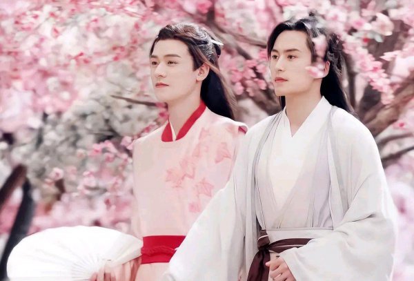 山河令禁播的原因