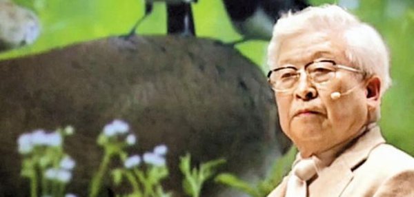 韩国世越号献祭事件真相