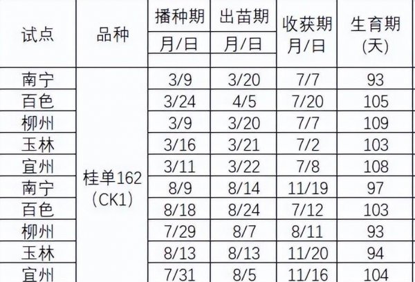 一年种两季玉米时间怎么安排