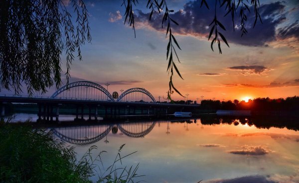 沈姓的来源和历史名人