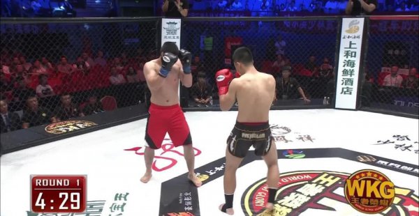 自由搏击和综合格斗哪个厉害实用性强