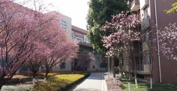 两电一邮是指哪三所大学