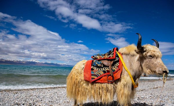 拉萨周边旅游景点攻略