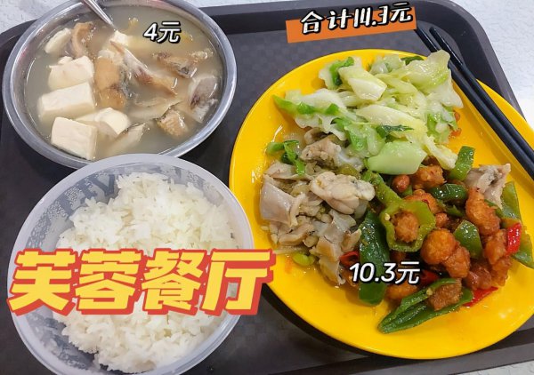 住宿环境最好的大学宿舍