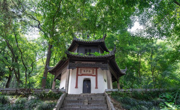 诸葛庐在哪里