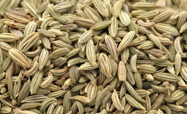 小茴香和孜然一样吗