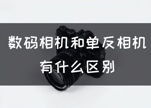 单反相机和数码相机哪个更好