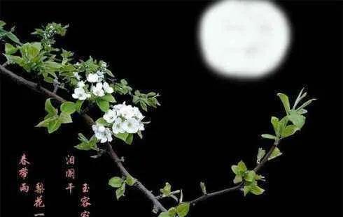 形容柳絮纷飞的诗句