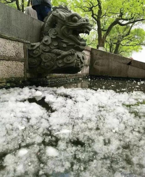 形容柳絮纷飞的诗句
