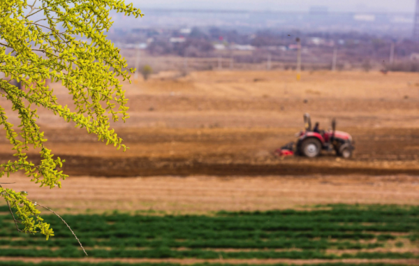 描写农耕的诗句大全