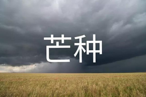 芒种下雨的谚语