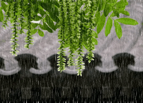 芒种下雨的谚语