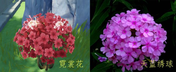 绝云辣椒介绍