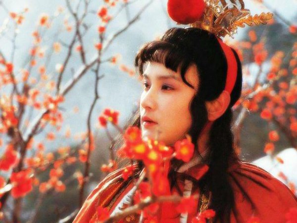 贾宝玉和蒋玉菡什么关系